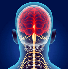 απεικόνιση των νευρικών καναλιών της αυχενικής μοίρας της σπονδυλικής στήλης